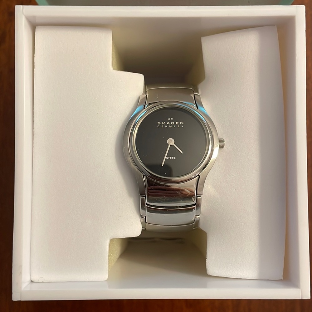Skagen steel watch